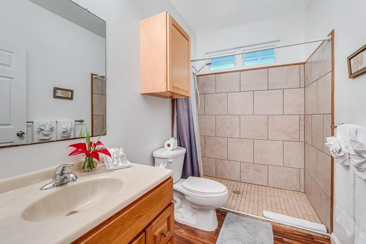 Holiday home Hale Olena Ohana | 31+ Day Rental Keaau